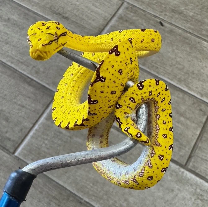 Best Selling Products